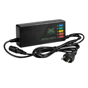 CANE-EV electric vehicle battery charger with LED status display